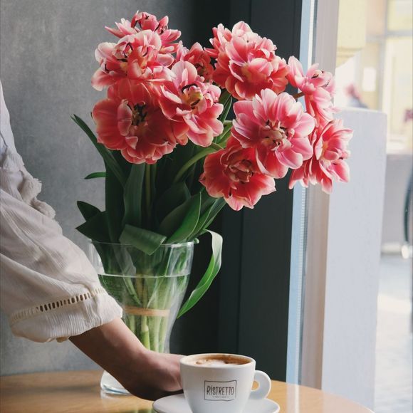 Meet your Posher, Ada - Picture 1 of 1